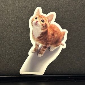 ORANGE CAT STICKER